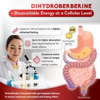Dihydroberberine - Super Berberine - Patented Glucovantage 810Mg - 5X Absorption - with Resveratrol Cinnamon Grape Seed Extract- Support Metabolism, Digestion - Made in the USA