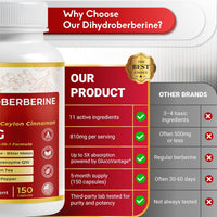 Dihydroberberine - Super Berberine - Patented Glucovantage 810Mg - 5X Absorption - with Resveratrol Cinnamon Grape Seed Extract- Support Metabolism, Digestion - Made in the USA